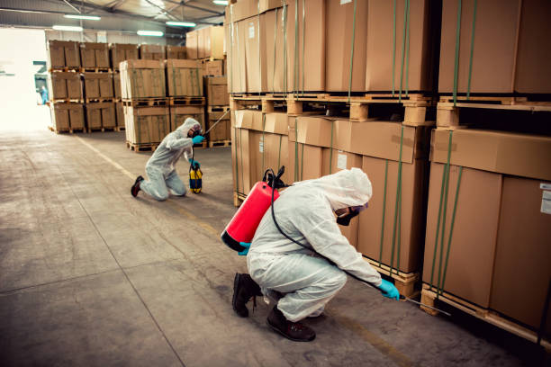 Best Local Pest Control Services  in Renville, MN