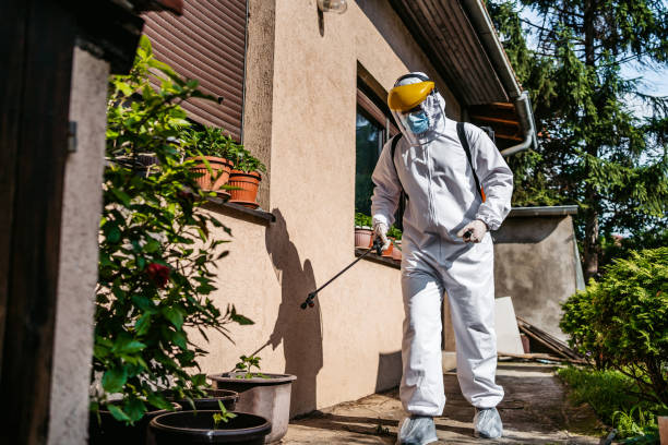 Best Pest Removal Services  in Renville, MN