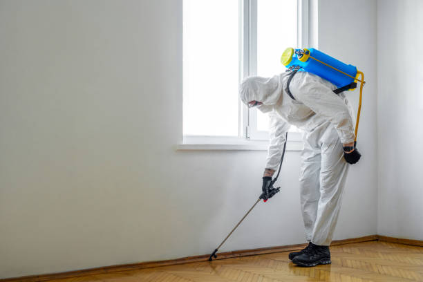 Best Commercial Pest Control Services  in Renville, MN