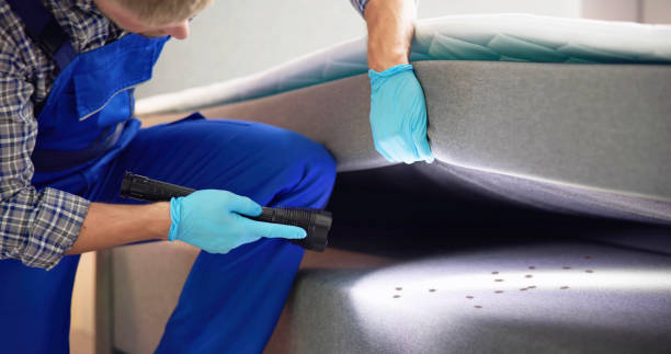 Best Pest Prevention Services  in Renville, MN
