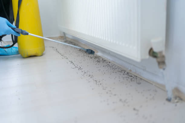 Best Best Pest Control Companies  in Renville, MN