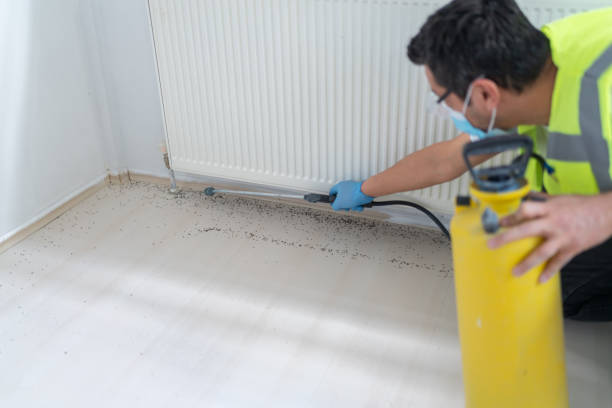 Best Wasp Removal Services  in Renville, MN