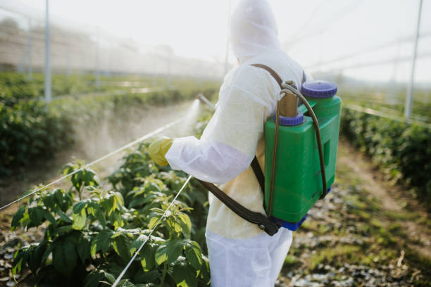 Professional Pest Control in Renville, MN